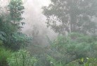 Stony Creek NSWlandscaping-irrigation-4.jpg; ?>